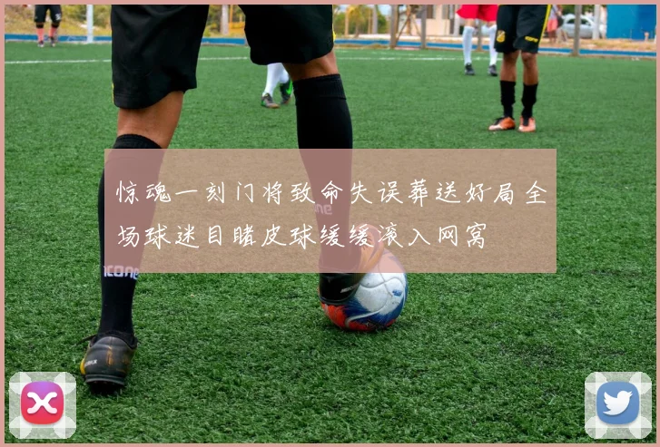 惊魂一刻门将致命失误葬送好局全场球迷目睹皮球缓缓滚入网窝