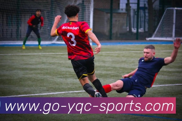 一起彩平台生态图